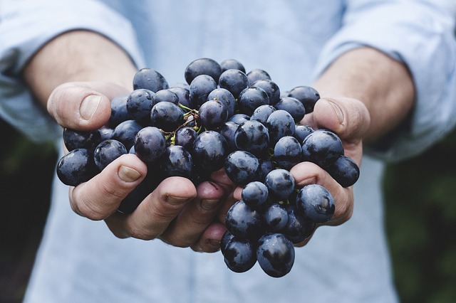 grapes organic